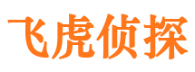 临海市私家侦探